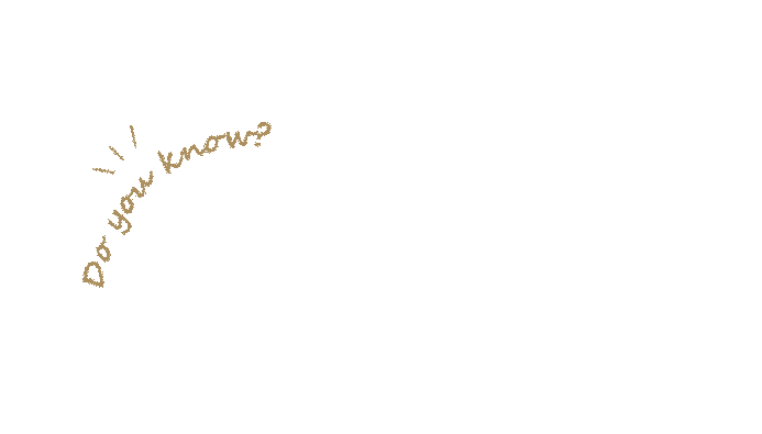 知っているようで、実は知らない。ピザをご自宅で美味しく食べるコツ。