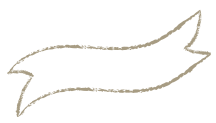 人気No.1セット